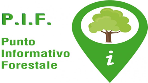 Calendario PIF II^ Semestre 2025
Â 